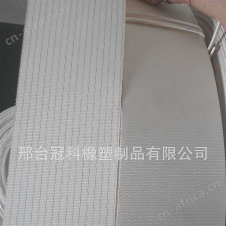 生产输送带白色食品输送带输送带
