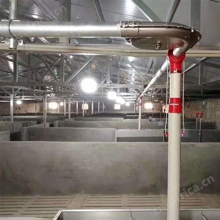 养殖场自动料线赛盘料线 华清 大型猪场自动喂料设备 质优价廉