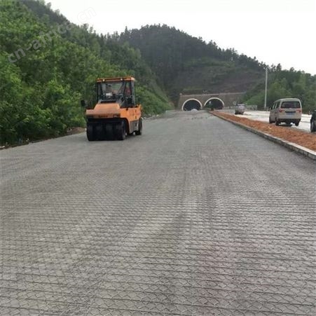 心早热镀锌丝 锌铝合金丝 路面加筋网 600目 xz-1740