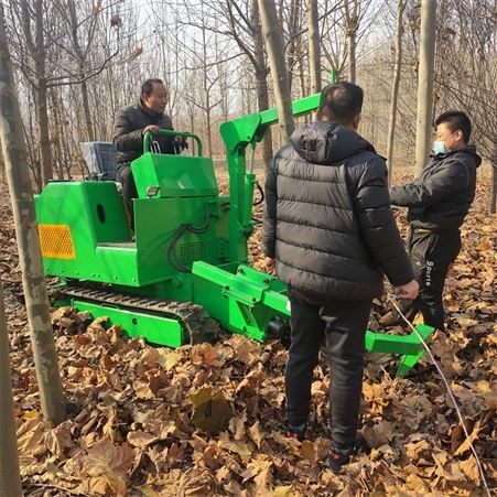 园林大型履带起树机 小型园林种植移栽机 多地形冲击式断根挖树机