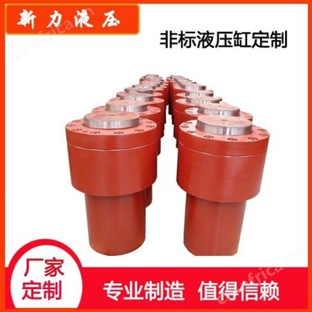 新力液压 液压缸同步 双向油压缸