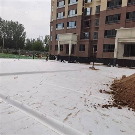 海绵城市建设车库顶板虹吸排水系统 H-14MM自粘布排水版 恒洋