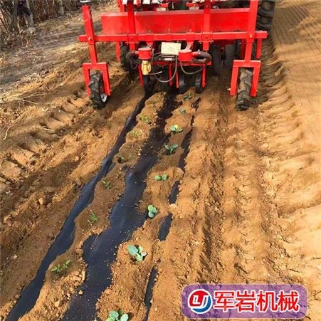 各种蔬菜移栽机 军岩 甜玉米移植机 菜花栽苗机 甜菜移栽机
