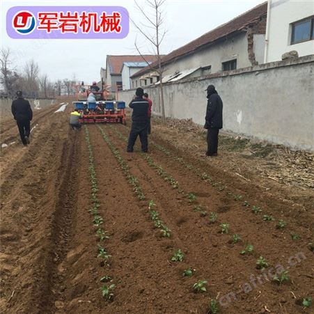 辣椒移栽机 岩 胶东辣椒移植机 贵州辣椒移栽机 特惠来袭