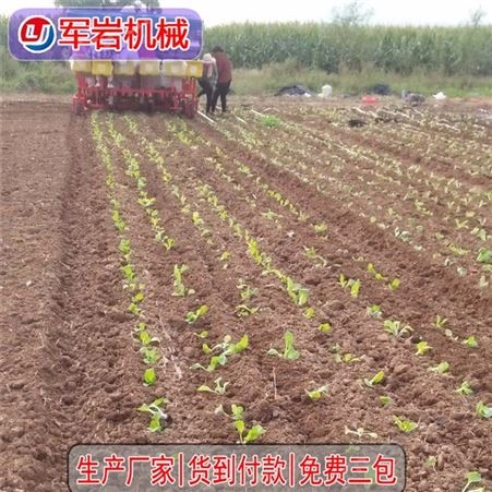 辣椒蔬菜移栽机种植机_军岩_福建辣椒移栽机_大量批发