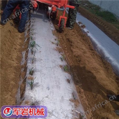 辣椒蔬菜移栽机 梅干菜插秧机 莴笋种植机 精选爆款支持定制