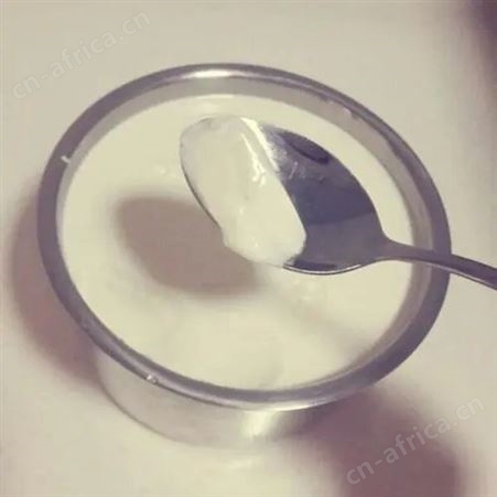 酸奶粉 鲜奶发酵酸奶风味原料 纯酸奶粉 源头工厂原料 丰有食品