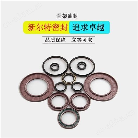 车削氟胶异型密封油封护帮油缸配件A新尔特制造