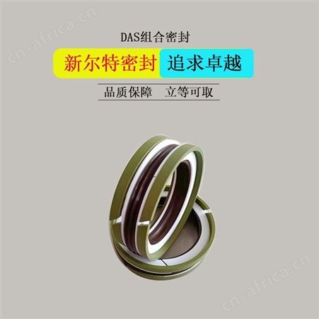 立柱用DAS型组合密封圈A新尔特密封件源头货源