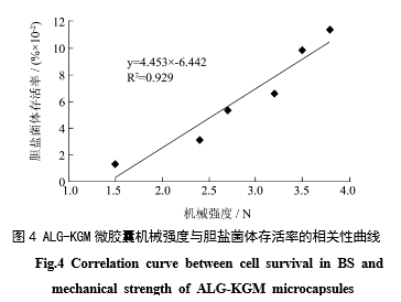 -133787897.png 图片11.png